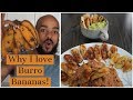 5 DELICIOUS Burro Banana Recipes! l AA EP. 06 l Dr. Sebi Electric Alkaline foods
