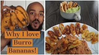 5 DELICIOUS Burro Banana Recipes! l AA EP. 06 l Dr. Sebi Electric Alkaline foods What Are Burro Bananas