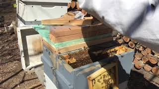Double Nuc First Inspection of the Year-Part 1