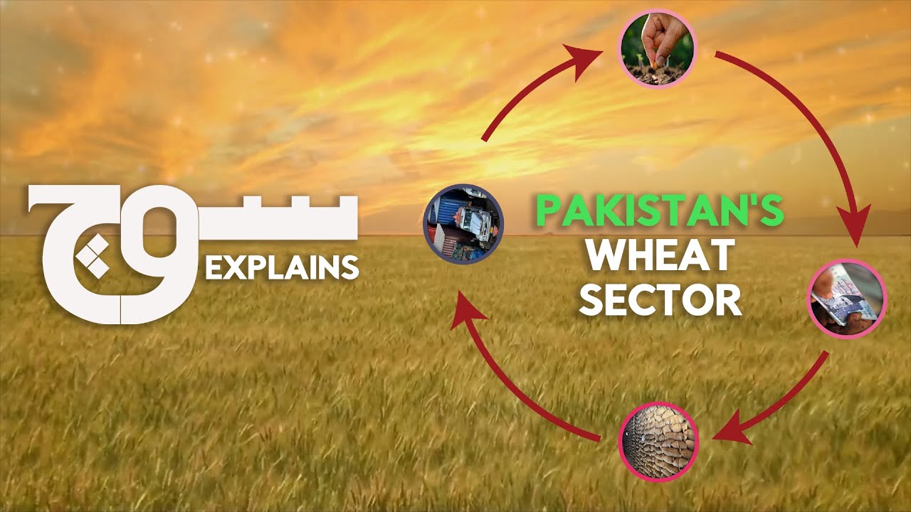 Soch Explains: Pakistan's Wheat Sector
