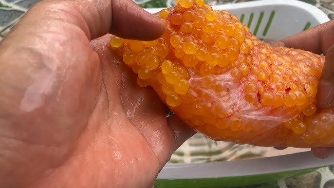 4. Cách Chế Biến Món Trứng Cá Hấp Bia