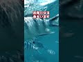 魚を温水に入れるとどうなる？