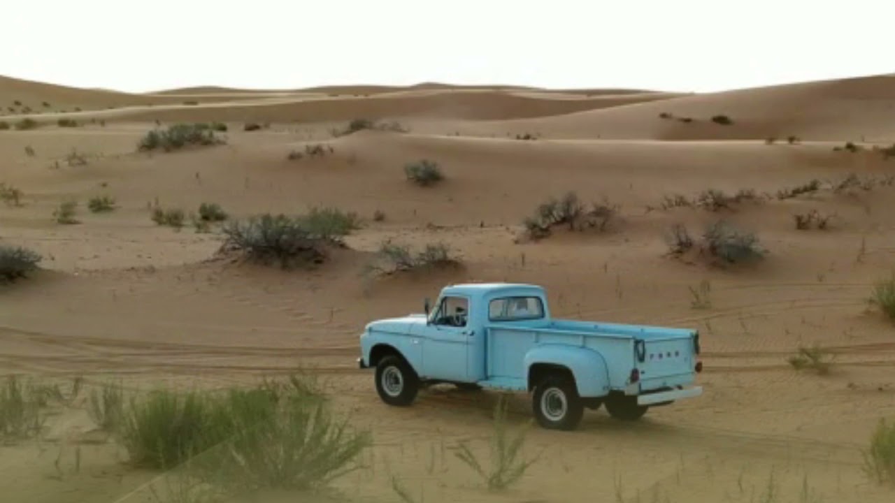 الهاف روح  2021- كلمات الشاعر: بندر بن سرور رحمه  الله - أداء المنشد : محسن عوض