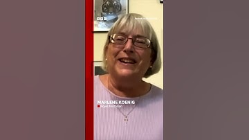 Moment cat interrupts live news broadcast #Shorts #CatVideos #BBCNews