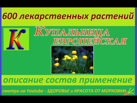 КУПАЛЬНИЦА ЕВРОПЕЙСКАЯ 600 лекарственных растений