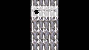 iPhone Ringtone but by a CAT