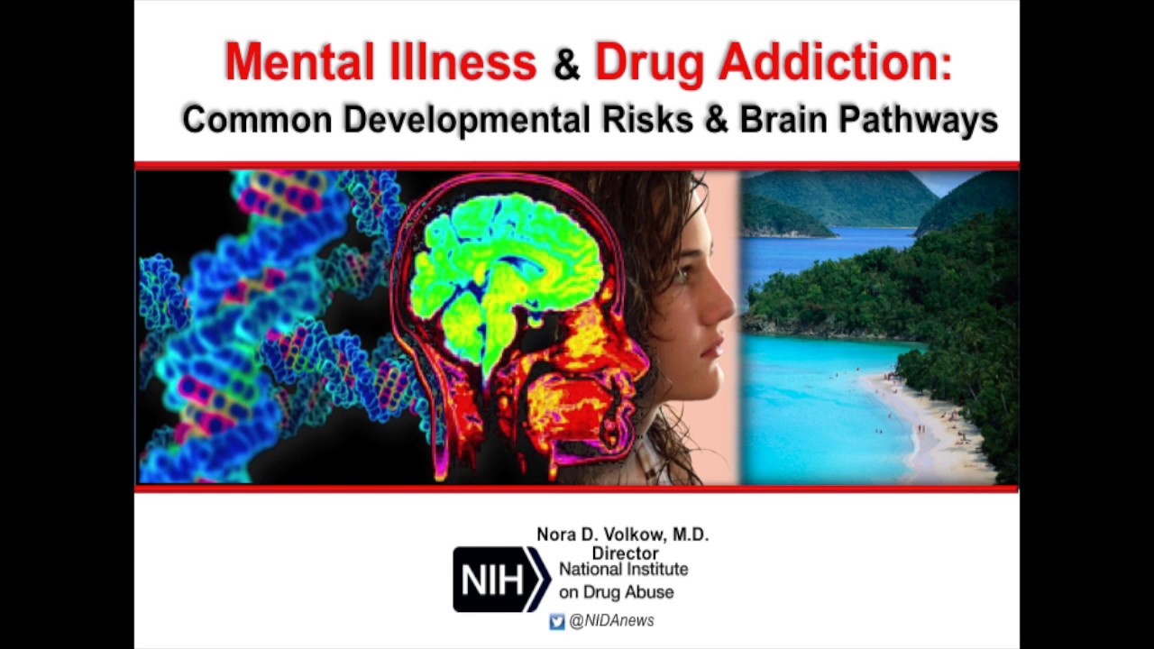 Nora Volkow on Mental Illness & Drug Addiction  #AMIquebec