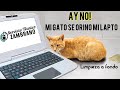 Como limpiar mi lapto canaima Docente si un animal me la ha orinado 😲