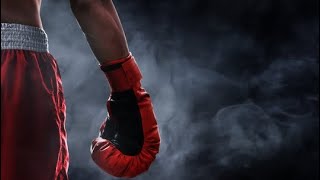 Famous All 12 Boxing Styles Explained.  Net Worth