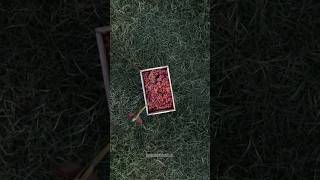 Arrow vs Grape 🍇 | Infinite Superzoom Loop 🌍 #shorts #loop