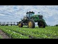 Spraying Roundup-Glyphosate