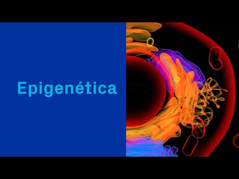 Epigenética