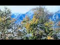 ته به تر څو پورې جدا ګرځې له ما نه ناشناس