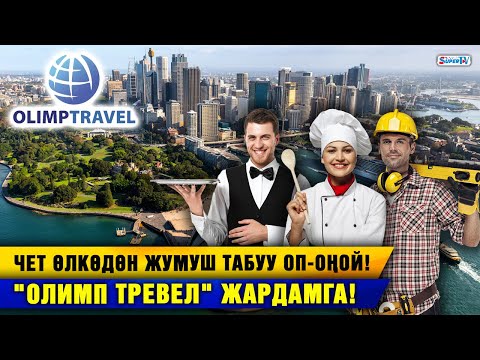 Video: Чет элдик компанияда иштөө