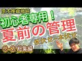 ④「初心者が夏前に行うべき木の並び替え方」①〜⑦ “総集編”【原木椎茸栽培】