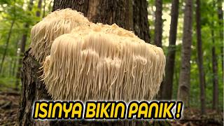 10 Sarang Hewan Paling UNIK DAN ANEH, Ada Sarang Hewan Raksasa😱