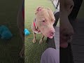 Meet timestamped Lil Man! Acctphilly.org