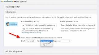 Mobile1 Website Builder Mailchimp Integration