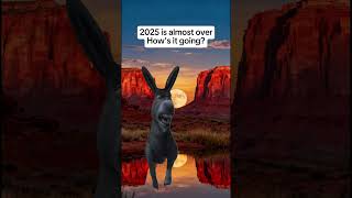 Hoping For A Better 2026 This Year Has Been Rough funny meme shorts trending