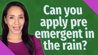 Can you apply pre emergent in the rain?
