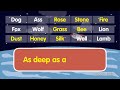 Choose the Correct word: Improve your vocabulary @AAtoonsKids