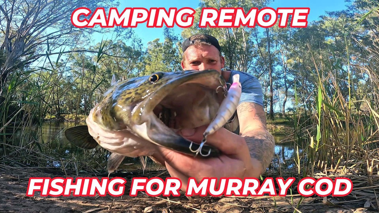 CAMPING REMOTE FISHING FOR MURRAY COD