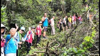 紅梅郊遊鷹巢山~摯友旅行隊2019 紅梅郊遊鷹巢山~摯友旅行隊2019