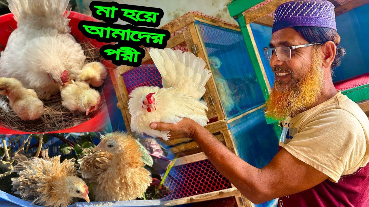 পরী ফুটিয়েছে ডি'ম থেকে বা'চ্চা💙