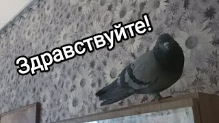 5.05.24. Здравствуйте!