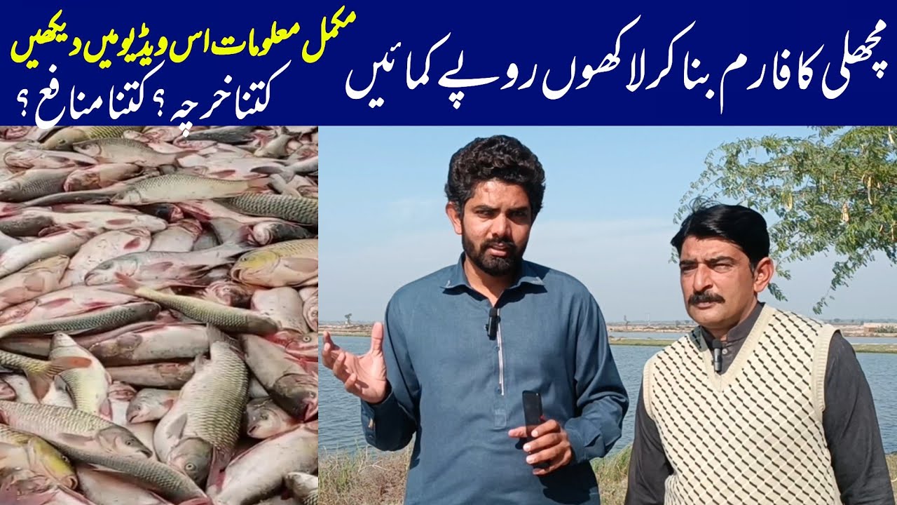 fish farming in Pakistan fish farming business fish farming at home