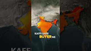 Coffee Export opportunity from India📦