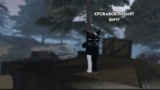 КРОВАВОЕ ПЛЕМЯ?БИЧ?|коты воители роблокс#wcue #wcueroblox #roblox #котывоители #cat #племя #fypシ