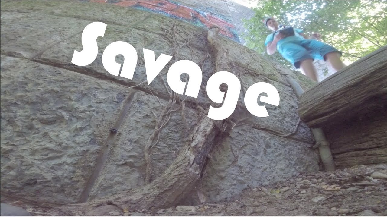 drone คืออะไร Savage
