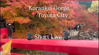 Korankei Gorge \/ Toyota \/ Short Live