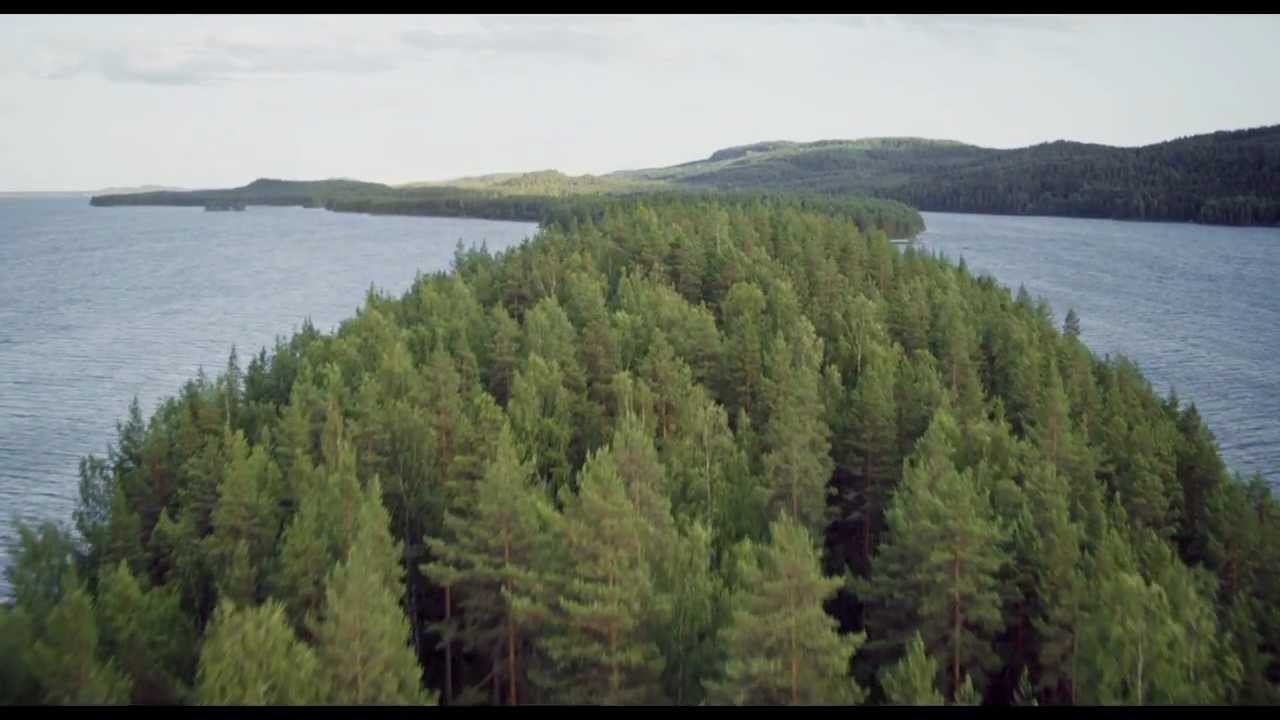 Tale of a Forest trailer