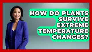 How Do Plants Survive Extreme Temperature Changes? - The Everyday Why