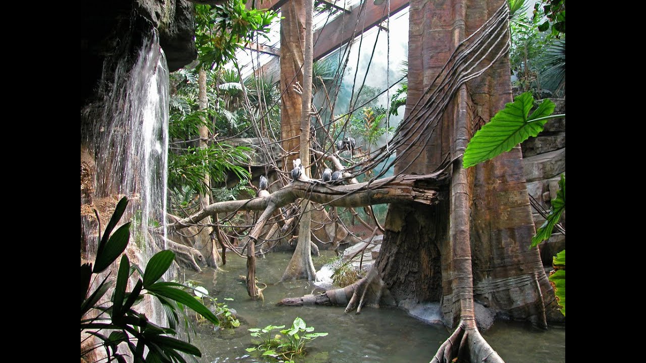 Bronx Zoo Jungle World