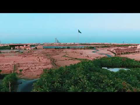 وثائقي فن السامري