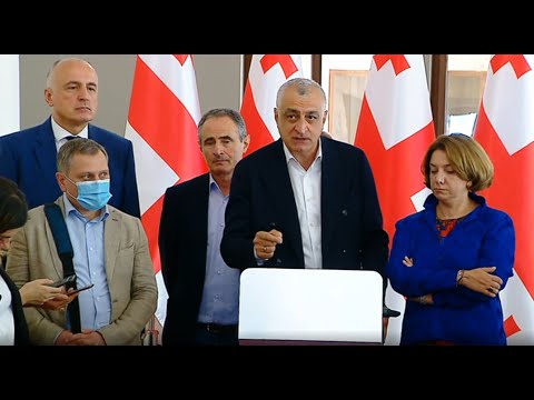 „კაგებეშნიკური, რუსული რიტორიკა აქვს პრემიერს, ღარიბაშვილი უნდა გადადგეს“