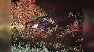 5 hospitalized, dog rescued in pair of Hernando County crashes Saturday morning