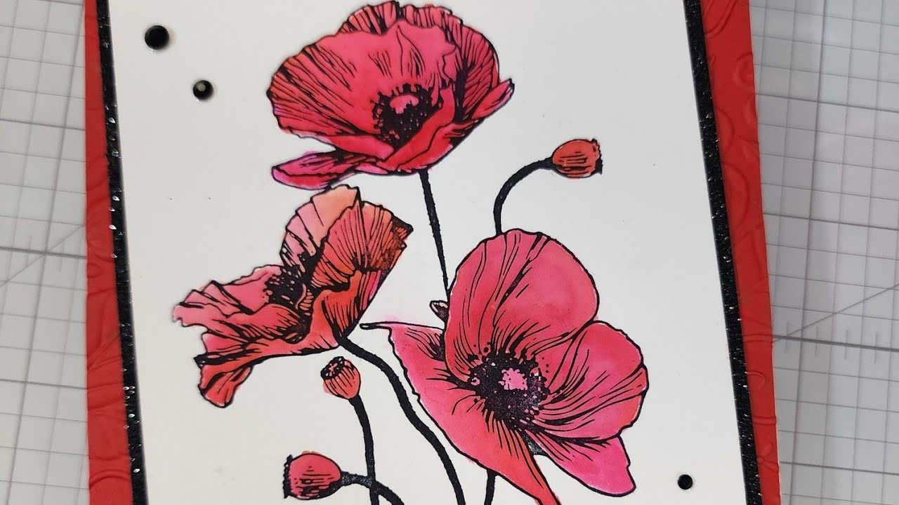 Spellbinders Jan 2024 Betterpress & 3D embossing folder of the month ...
