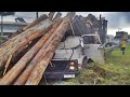 Assustador: vídeo mostra toras de madeira esmagando cabine de caminhão