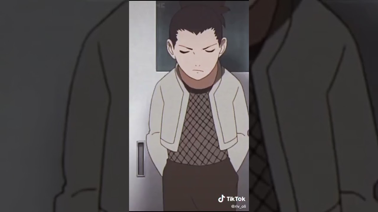 Hàng xóm của tôi Totoro. 