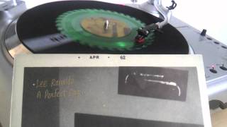 Lee Ranaldo: A Perfect Day - VINYL RIP