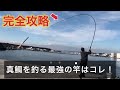 【比較】遠投カゴ釣り竿を半年使って分かった最強に釣れる竿と仕掛けはコレ！