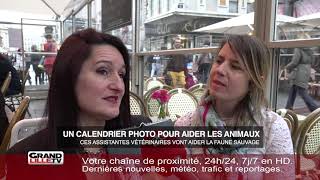 Des assistantes vétérinaires nus dans un calendrier pour aider les animaux