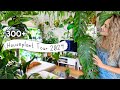 300 houseplant tour  2024 plant collection home tour rare and common 