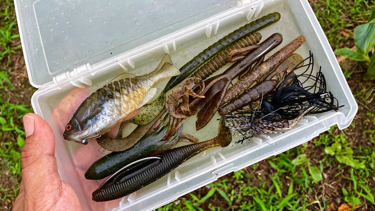 夏のオススメ（デカバス狙い）ワーム、解説しながら紹介します - YouTube