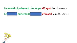 Identifier le nom noyau dans le groupe nominal sujet