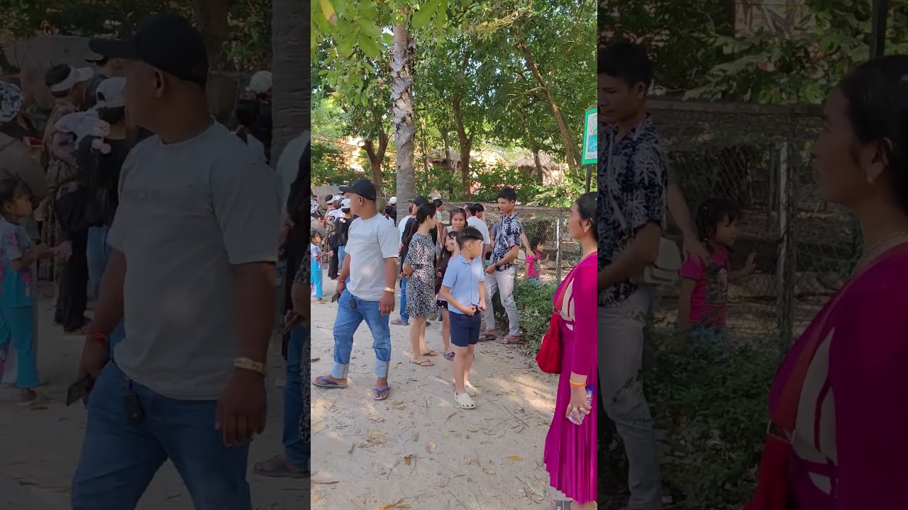 The views of Tamao Mountain Part 5 #1million